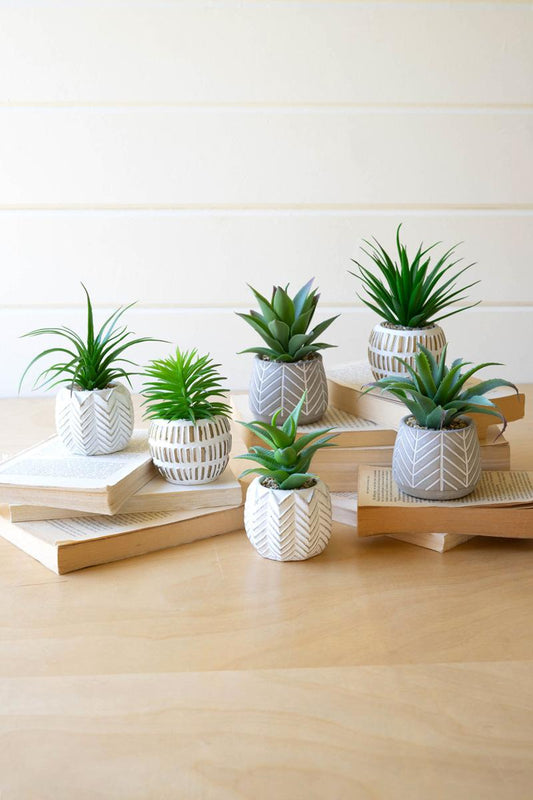 Set of 6 Artificial Succulents In Cement Pots