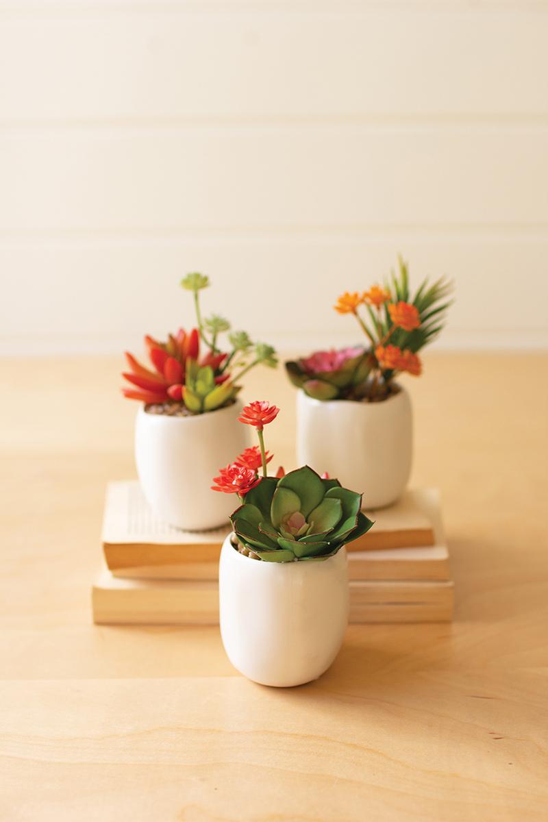 Set of 3 Artificial Succulent Plants In a White Ceramic Pot